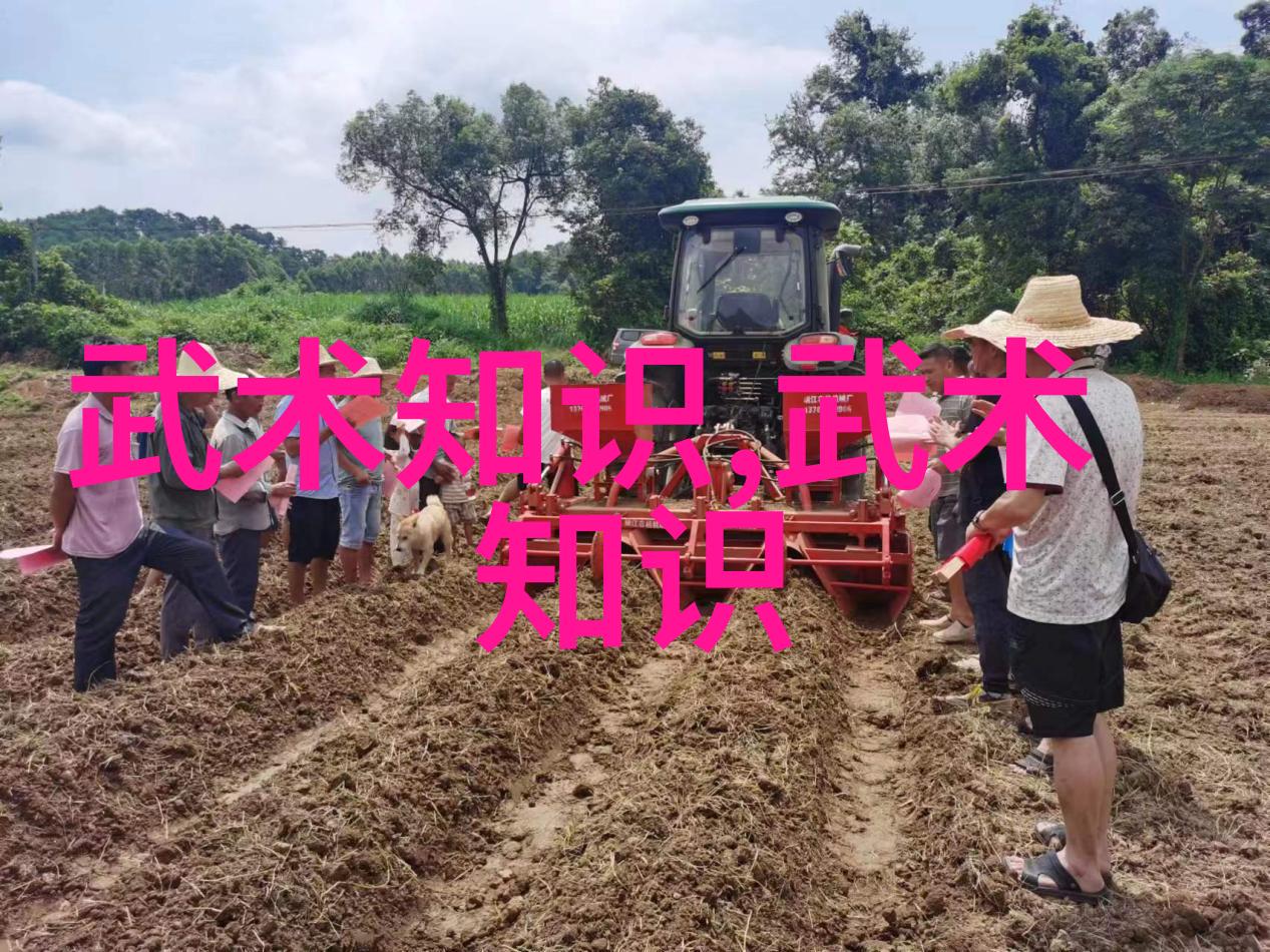 四十式太极拳视频带口令教你我如何轻松学起来