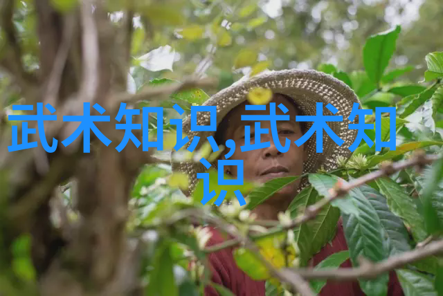 王文贤讲解太极拳套路的核心要素自学武术者应反复练习以掌握精髓