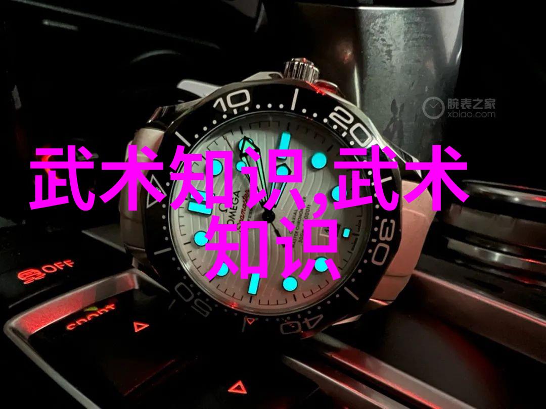 武术资料网我是怎么在武术资料网上找到的绝世好料的