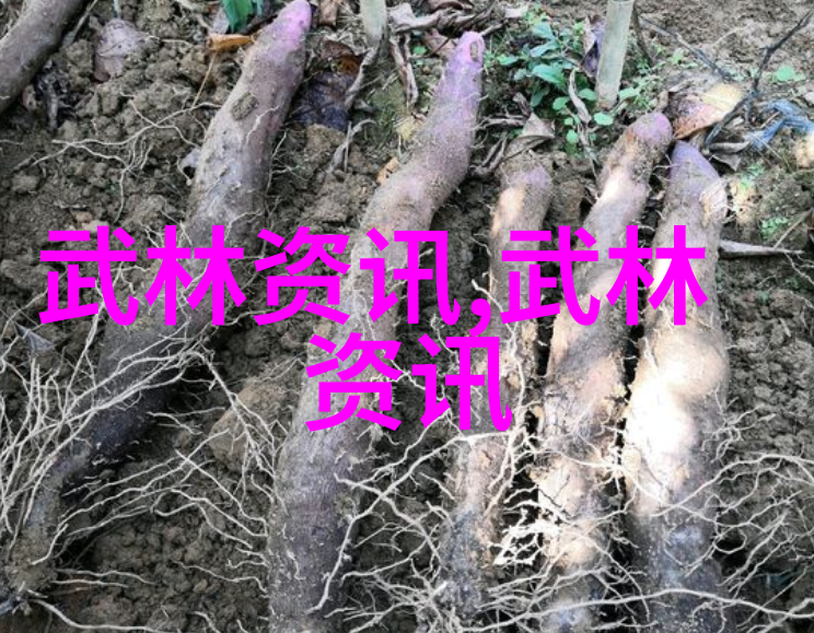 碧波幽兰盟古风帮会的沉默守护者