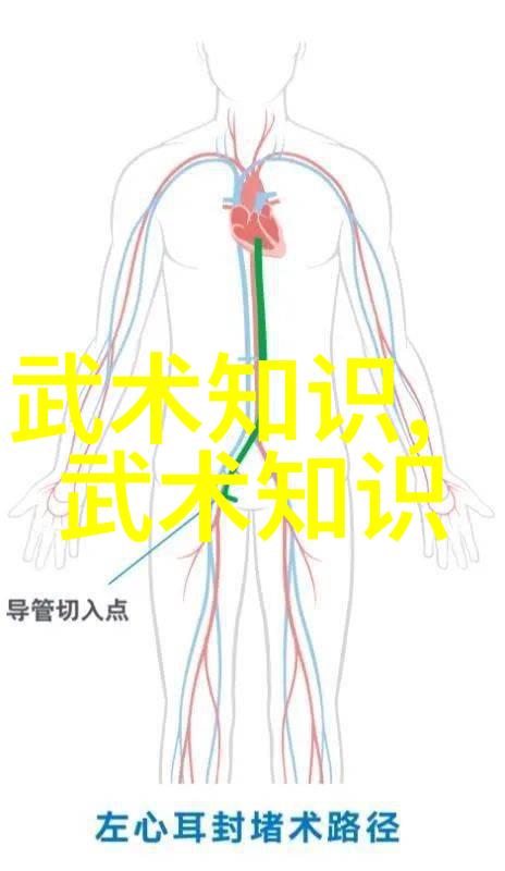 武林中的著名门派有哪些内功心法修炼秘籍江湖传说