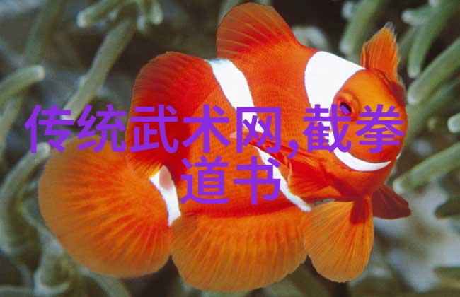 糖尿病人饮食中的健身营养补剂精准搭配健康双赢