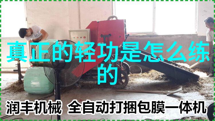 古风帮派名录追溯优雅与神秘的过去