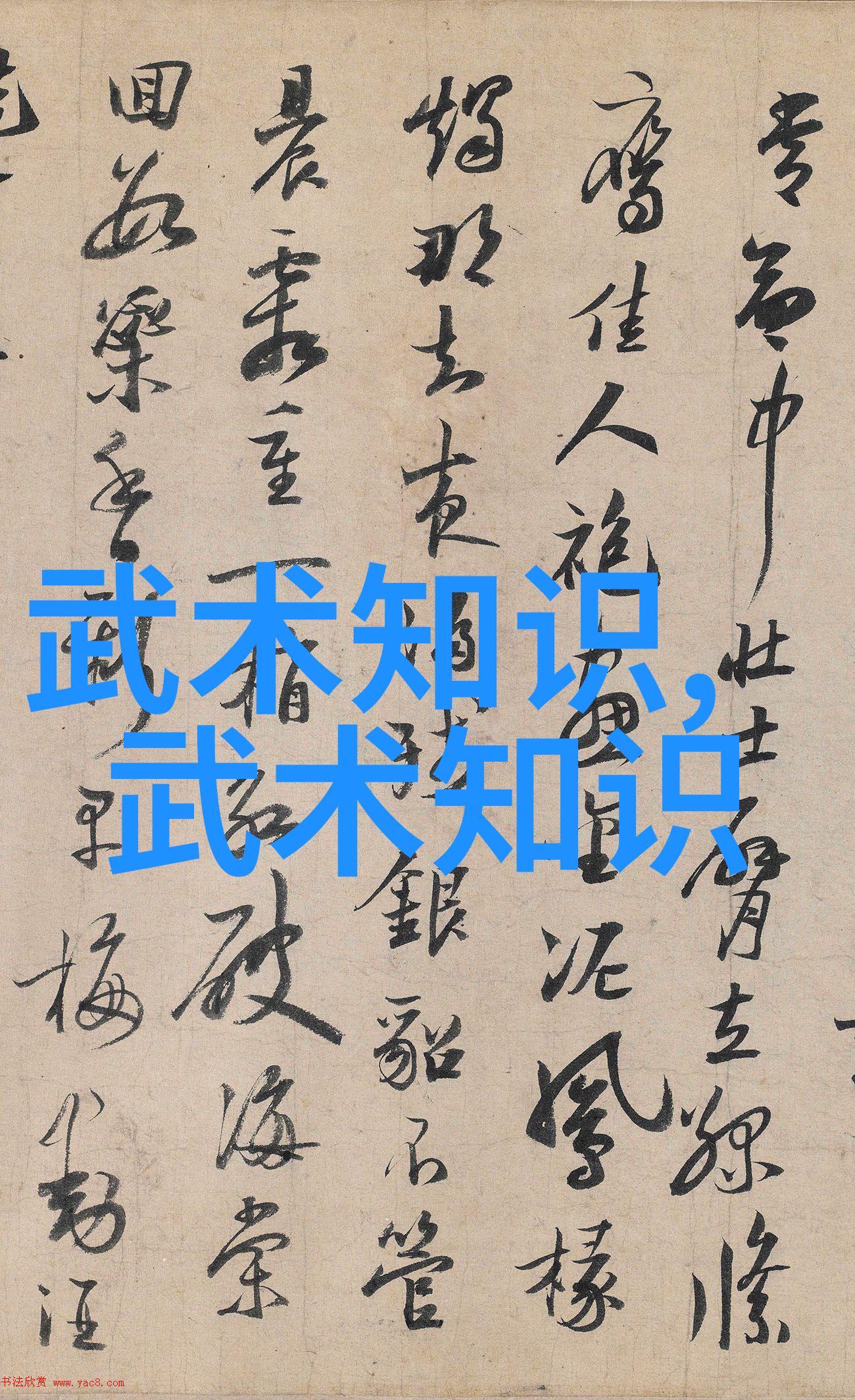 中国最著名的武术流派我眼中的中华武林揭秘龙门腿法