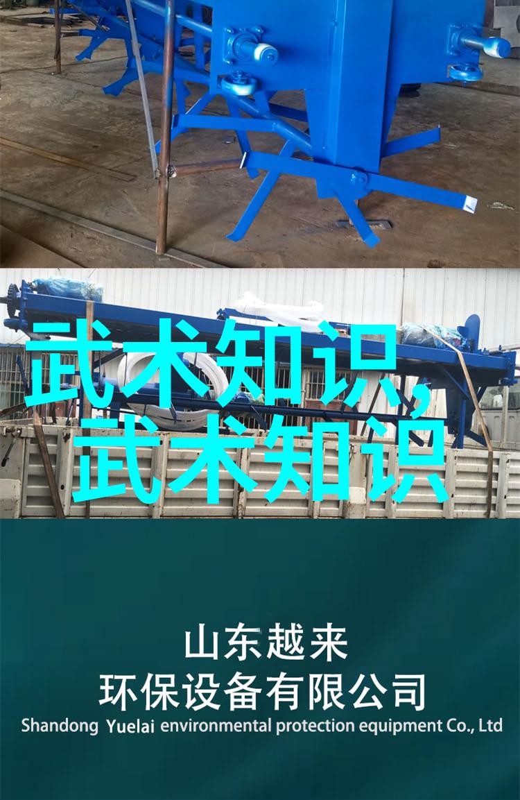 天地剑法秘籍玄幻世界中的剑道奇迹