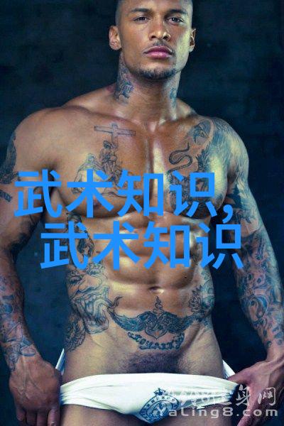 武术修炼境界划分大全内功外功之道修为层次详解
