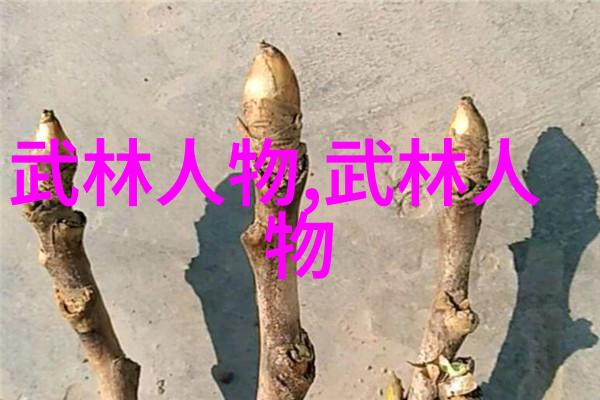 武功与武术的区别-剖析江湖之辨武功与武术的差异探究