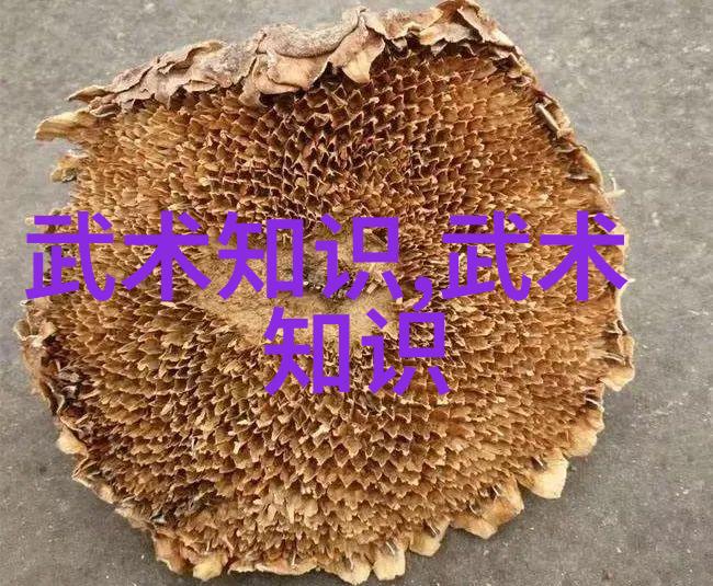 武当少年演绎中华传统武术歌舞精彩连连武术知识展现古今艺术风华
