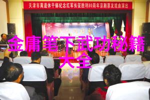 中国传统武术拳法-探秘中华古老的内家外派中国传统武术拳法的艺术与实战