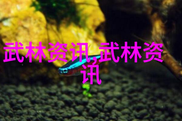拳学辉煌探秘形意拳各派之争霸