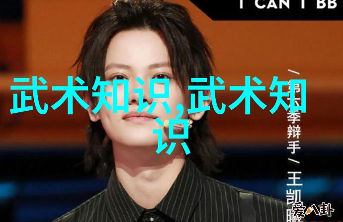哪门武术最厉害揭秘太极螳螂拳的神奇力量