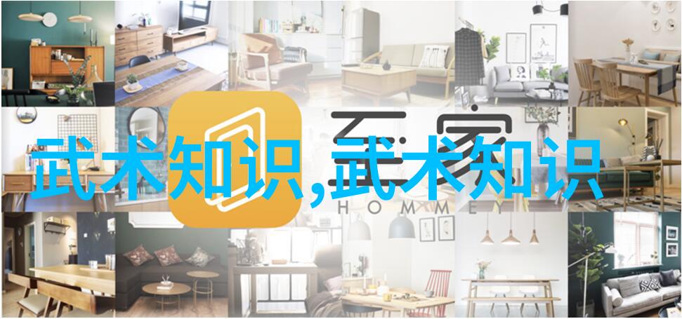揭秘世界上最狠的拳法打破界限的武术之冠