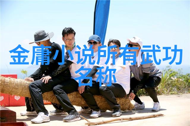 古代最强武功我练太极十三桩成为无敌高手