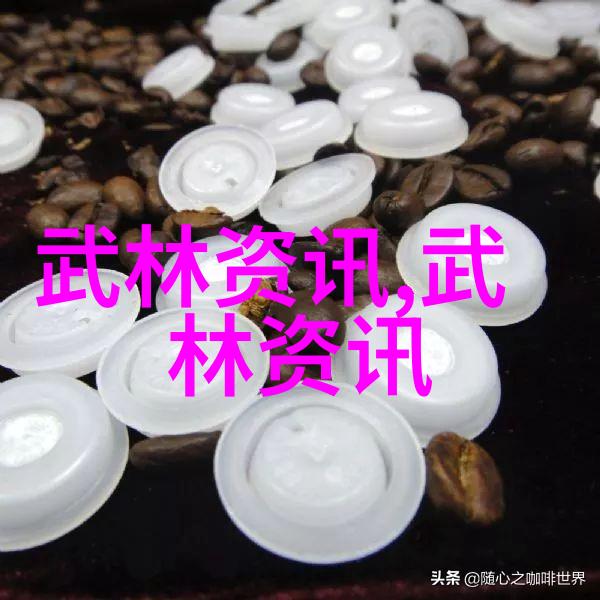 中国拳法的多样魅力揭秘武术中的五大门派与十余种流派