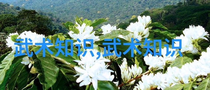 沉默的边界被C到说不出话的人生
