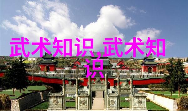 武道启示岁月与技艺的交响