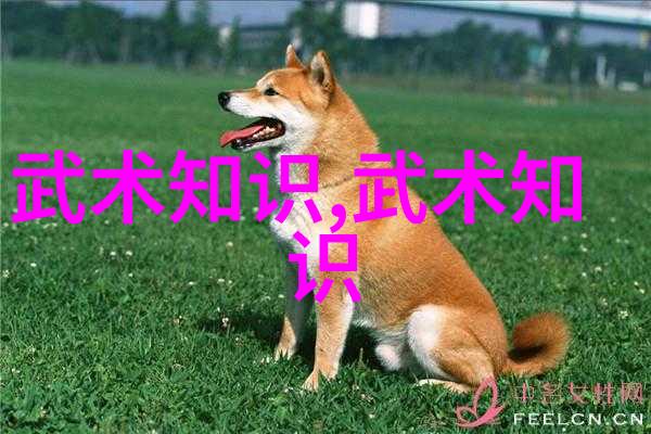 隐世身法秘籍之谜解锁古老修炼的奥秘