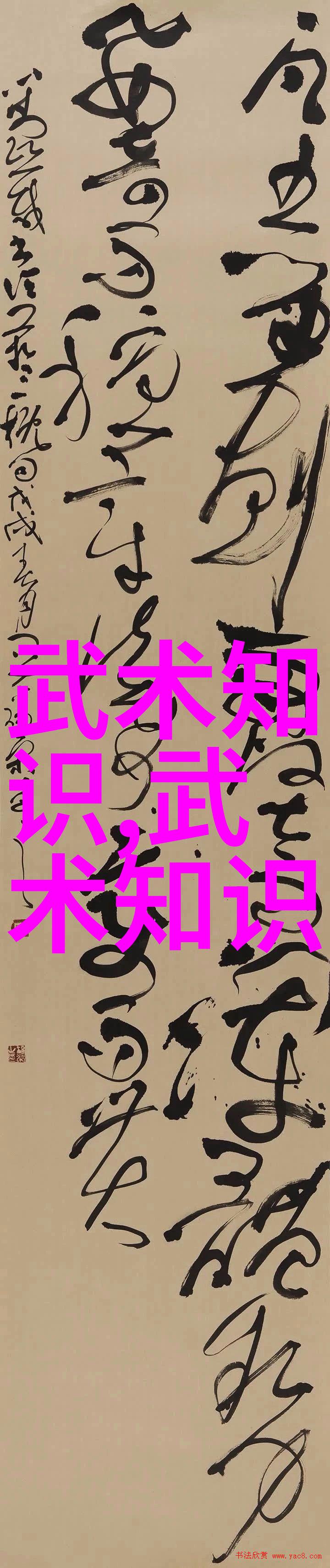 武林资讯太极西域记乌鲁木齐分馆行记探寻嫡宗传人在社会的足迹