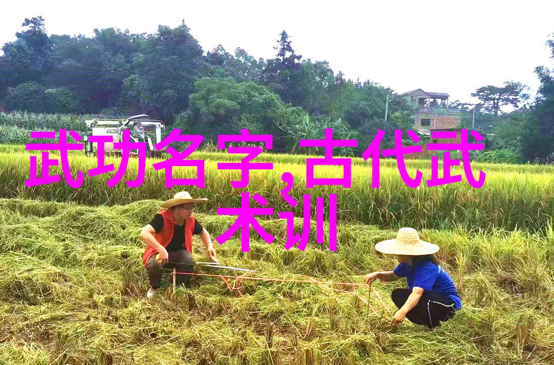 如何快速学会轻功避免长时间的练习