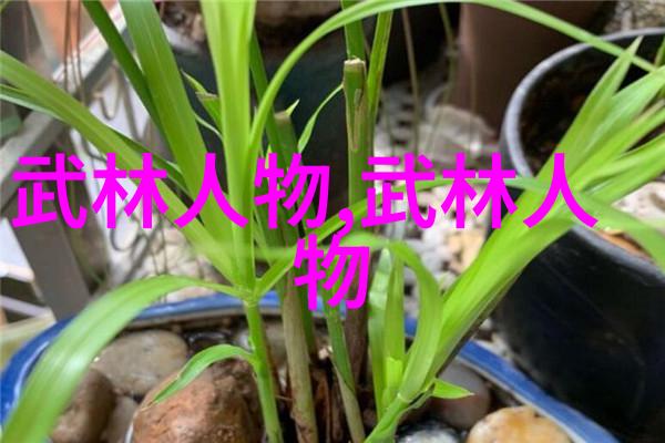 太极功夫秘籍 - 掌握内外兼修的武学之道