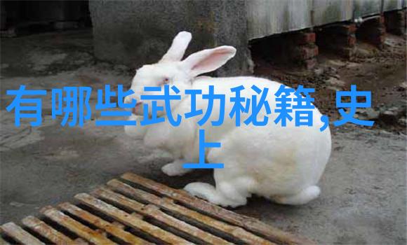 天穹剑法神秘的剑术