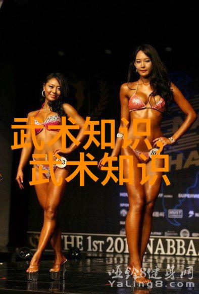 武术刚开始练什么-初学者武术实战技巧基础功法与基本招式