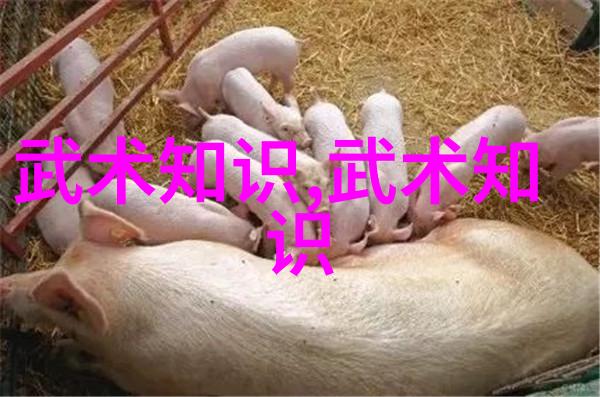 梦幻世界中的和谐协奏精选的仙盟称谓