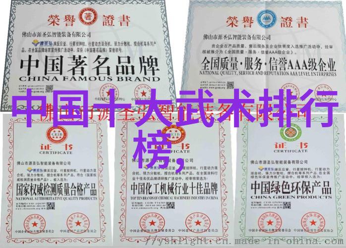 探究武术学习的最佳年龄跨越青少年与成年人的界限