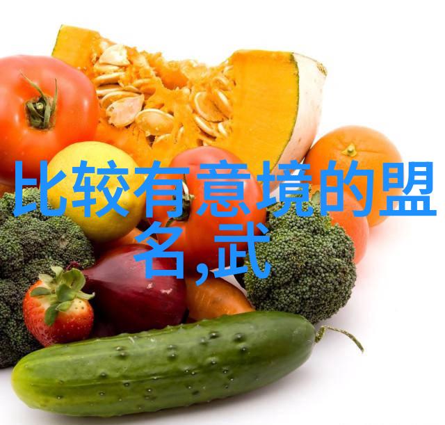 探寻中华文化的力量深入浅出了解中国十大最强武术