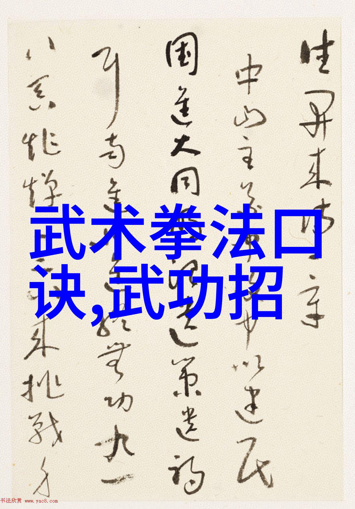 足球场地标准尺寸上的对偶凯恩与范佩西的不同步伐