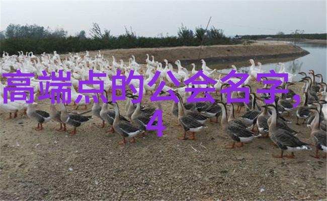 武功自学指南揭秘练成高手的秘诀