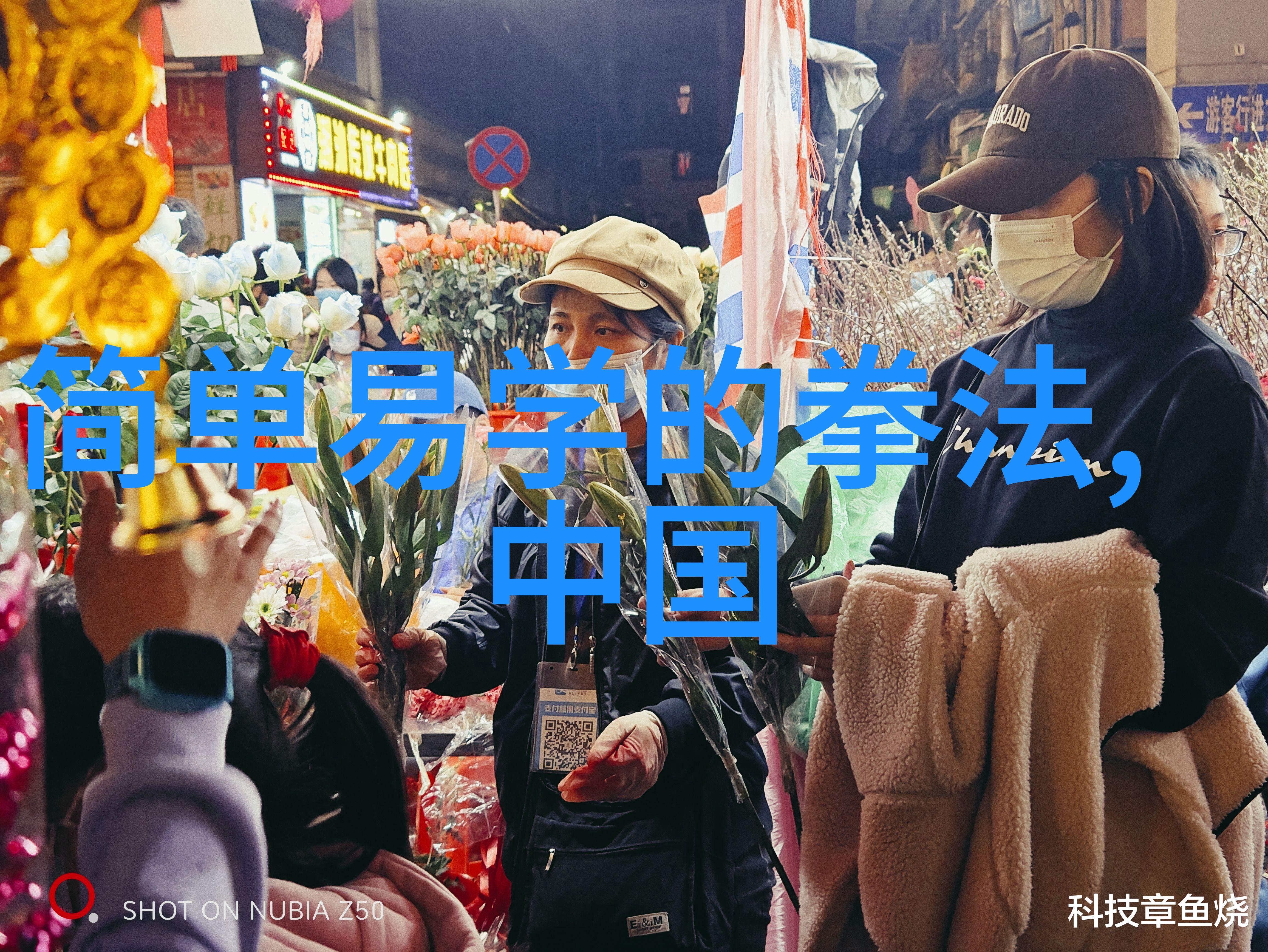 掌握邱慧芳24式太极拳全套技巧一学就会的经典太极练习