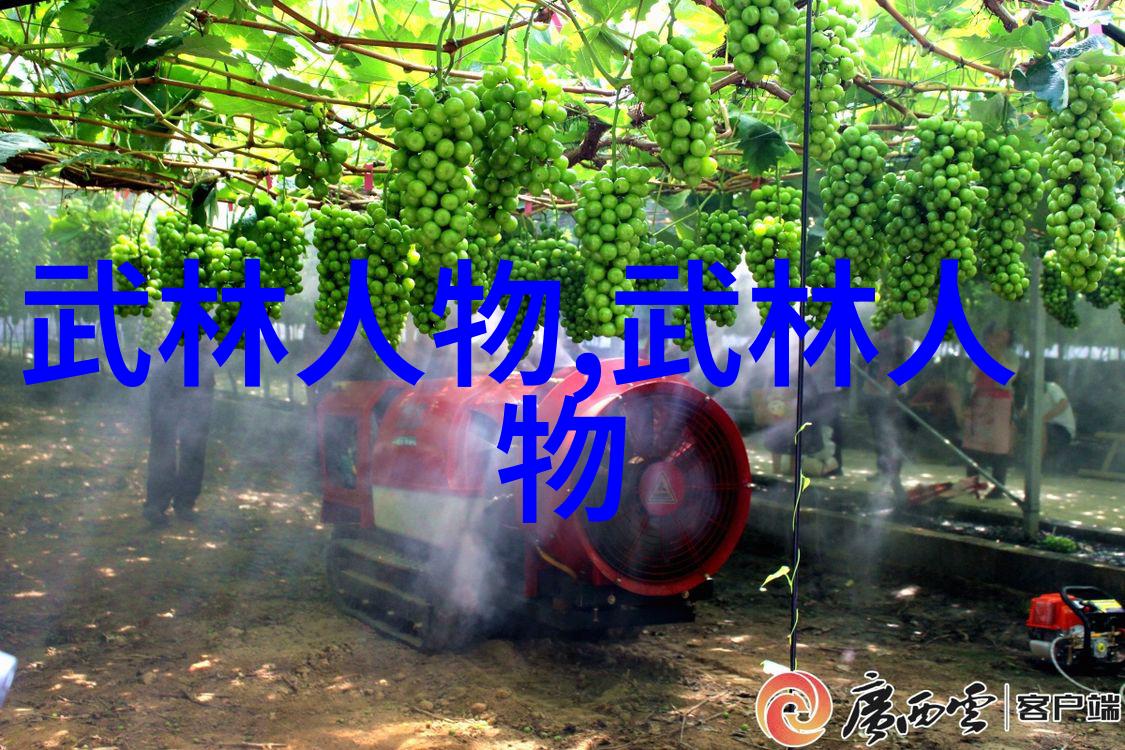 十大淡水鱼之王中的青鱼头竟然是不能吃的神秘生物