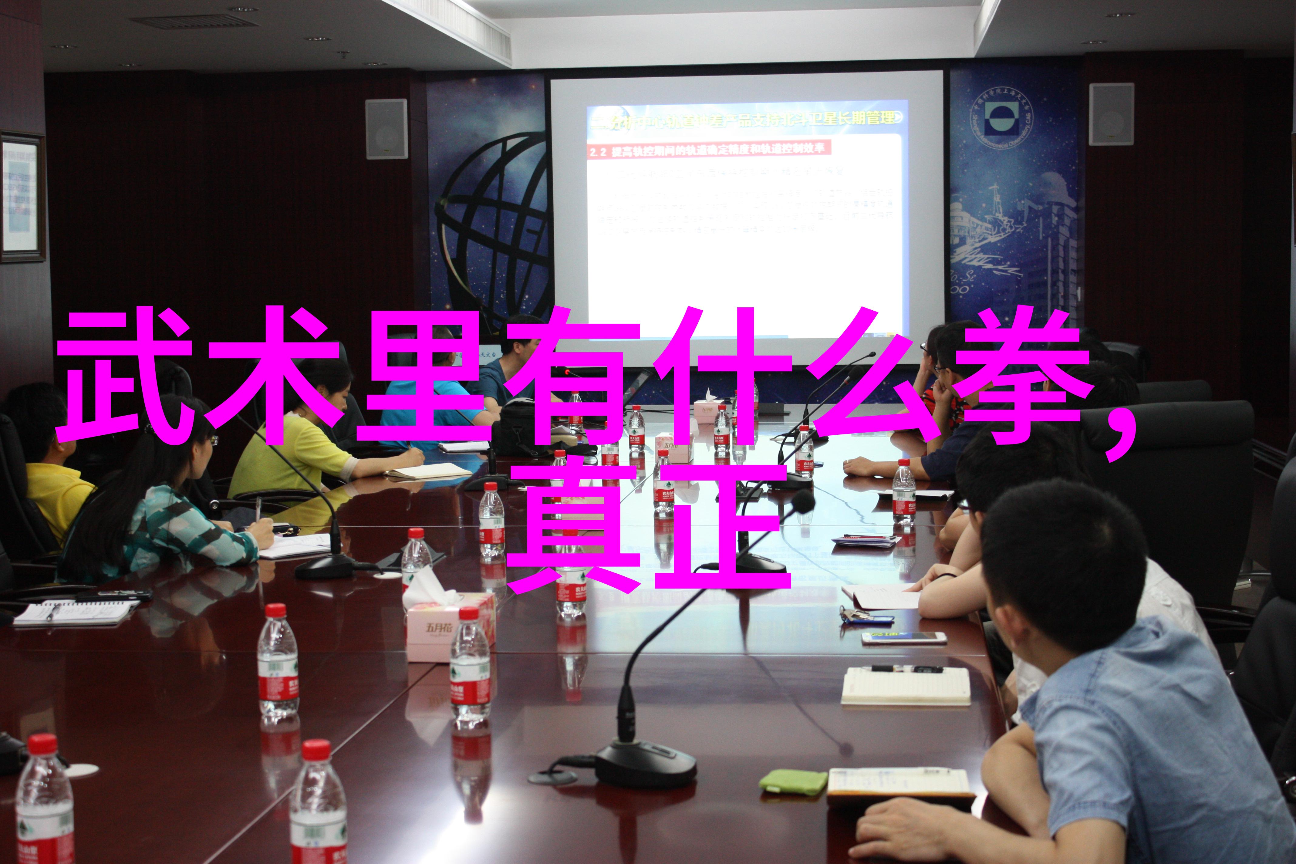 自学八极拳成败之谜探究
