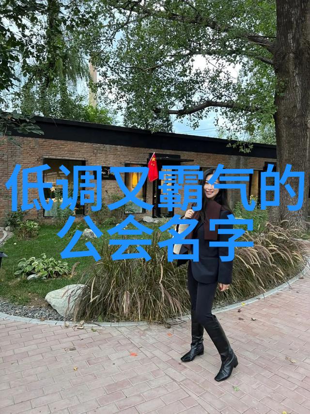 网络安全警示揭秘2013年盗号器的危害与防范策略