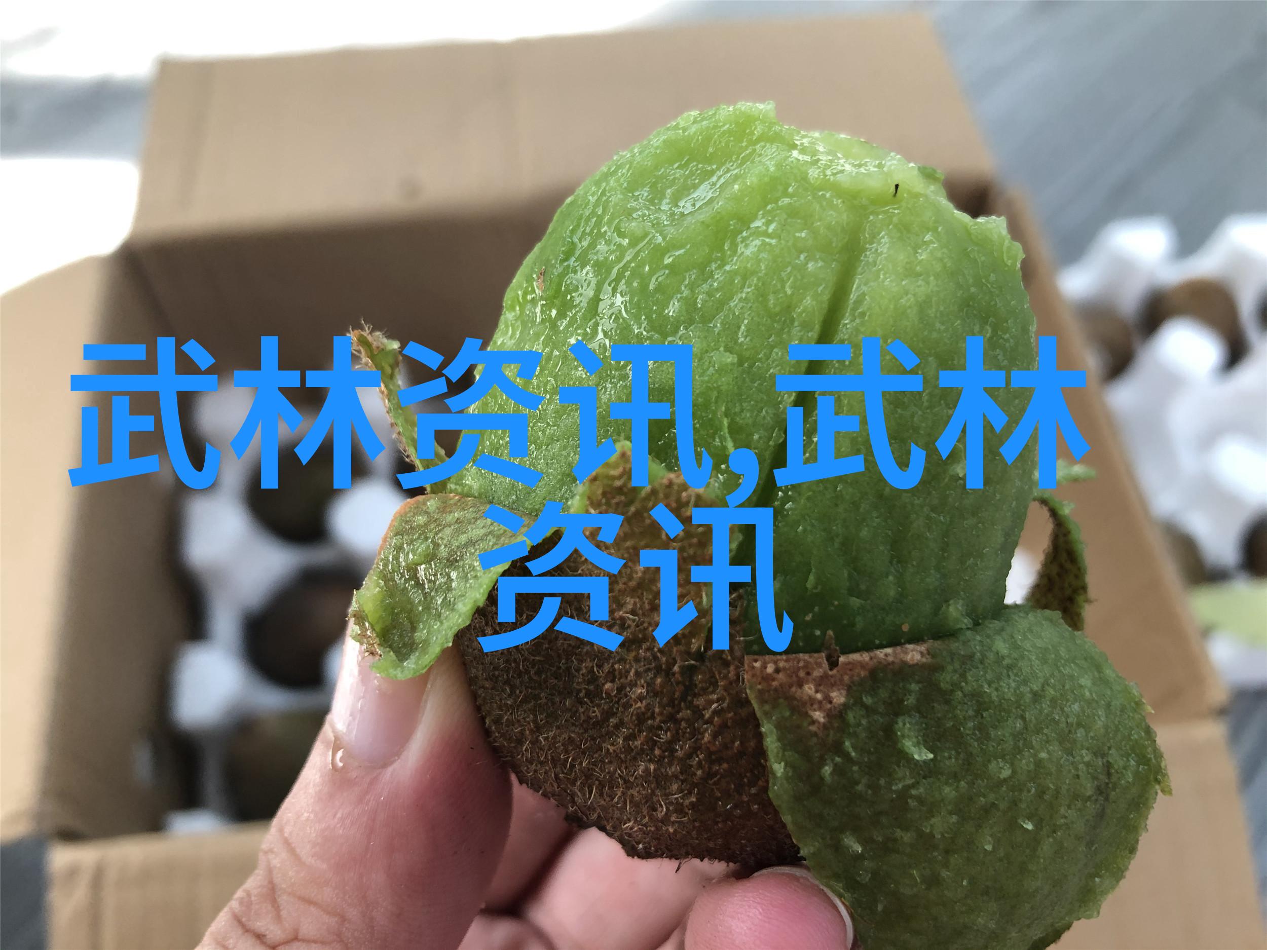 仙门门派名字大全 - 传说中的修炼之路揭秘千古仙门的神秘名称