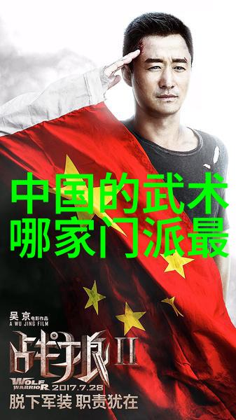 九霄宗门陈式太极拳