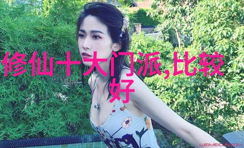 门派拳种字门太极拳