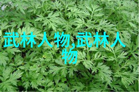 武林秘笈寻找最强十大武术之旅