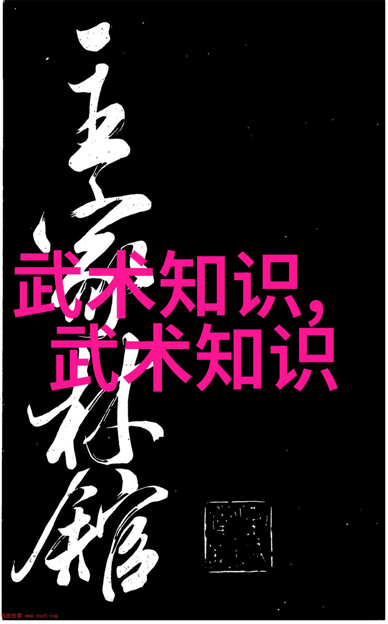 武术对练项目中空翻技术运用的构思-袁东