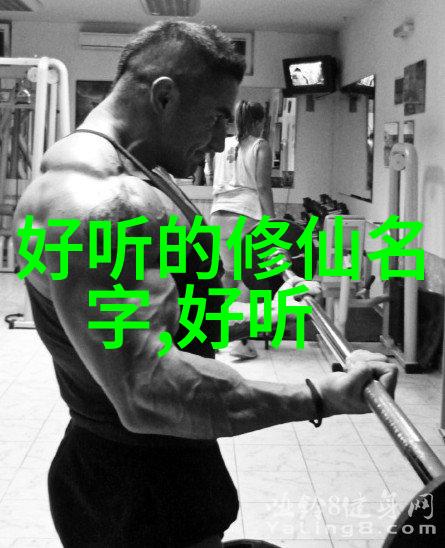 武林之冠探秘太极门派的深邃文化与精湛技艺