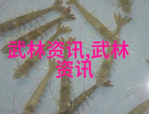 张禹飞冯秀茜探索中国最有实战性的混元太极拳面对面对话