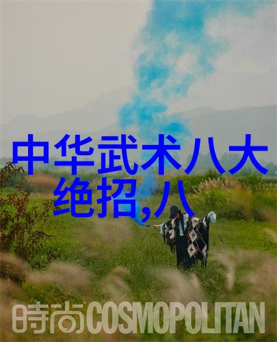 少林武林中的绝技之选少林寺最强拳法