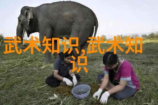 反复体验比基尼游泳衣带来的瘦身秘籍内敛又不失魅力