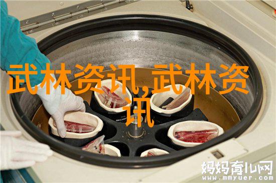 武术梦想的起点我要学功夫了