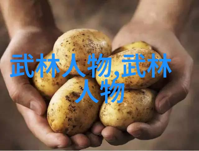 武林秘笈揭秘中国功夫之谜