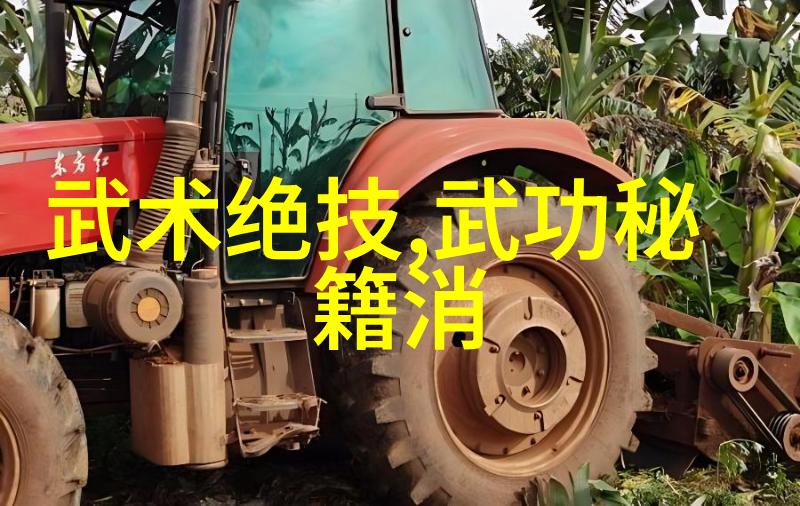 江湖绝技全集武林内外百余门功法详解