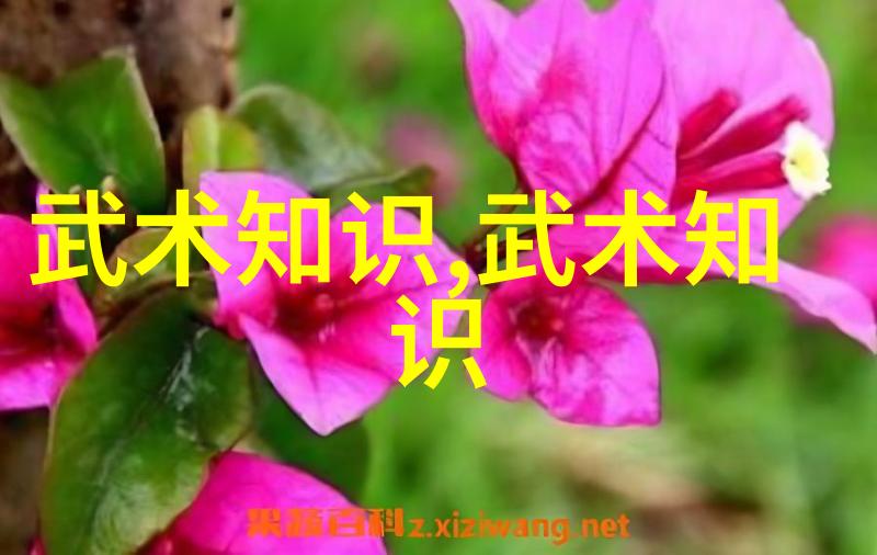 了解传统精髓哪些要点是必不可少的在学习二十四式简化太极拳图解时需要重点关注