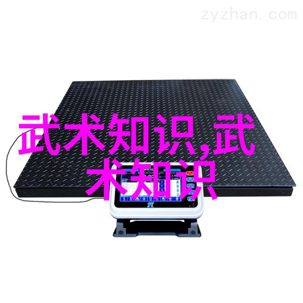 翁心诚教授的太极拳内劲之韵武功秘籍网独家解密