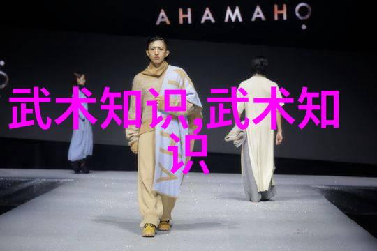 武术训练-在家无师自通实用武术练习指南